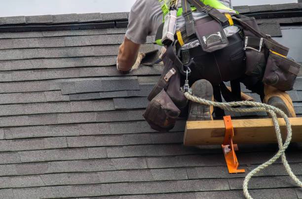 Best Roof Gutter Cleaning  in Roseville, OH