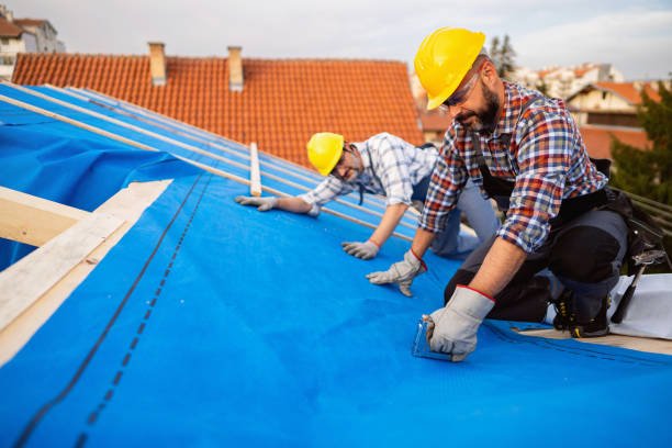 Best Roof Restoration Services  in Roseville, OH